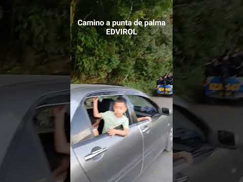 #camino#punta#de#palma #puertobarrios #izabal