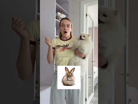 МЫ НАШЛИ ЧЕРЕМШУ?! 🥵