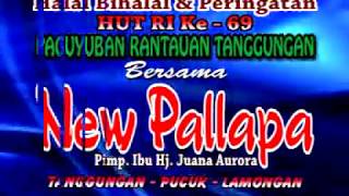 Download lagu PUING-PUING - ANI ARLITA & BRODEN - [NEW PALLAPA TANGGUNGAN] mp3