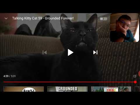 talking kitty cat 59/63 that I react to