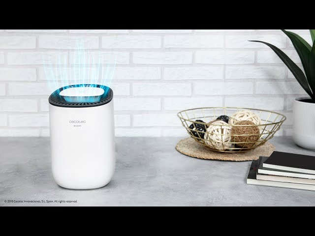 Desumidificador Cecotec BigDry 2000 Light 300 ml/dia 600 ml 23 W Branco video