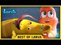 LARVA BEST OF LARVA Cartoons Comics LARVA 2017 WEEK 27