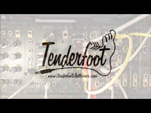 Tenderfoot Hike Eurorack 2-Channel Envelope Module image 2