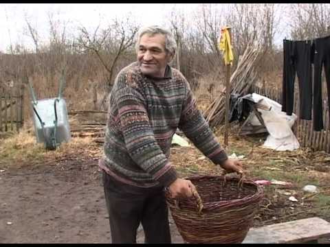 Conditii extreme si riscante de trai pentru o familie din Capalna, Bihor
