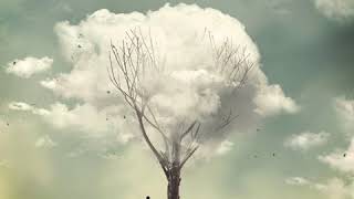 Gökhan Tepe Sevda Çocukları