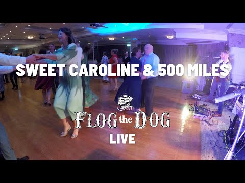 Sweet Caroline & 500 Miles (LIVE) - Flog The Dog Wedding Band Ireland