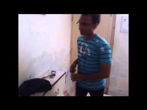 short film: The RunAway Orphan