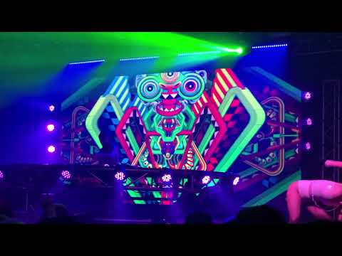 Dirt Monkey Live Set @ The Ritz in Tampa (Partial Set)