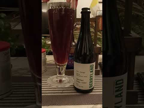 # 2575 Berryland Cabernet Franc Cider 2020 Vintage Brut 7 % (Ukraine)