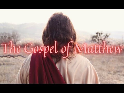 Daily Bible Reading Plan - Day 284 - Matthew