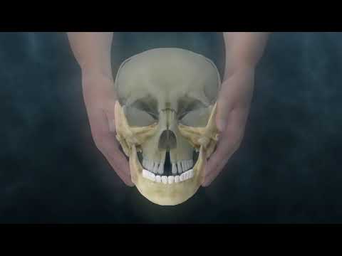Lyons Institute - Craniosacral Biodynamics: TMJ - Mandible Hold
