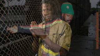 2010 Reggae Love ♥  Song Riddim Vol.15! Gyptian - Busy S. - Lutan Fyah - Tameeka & More !