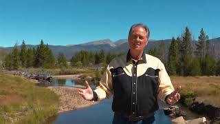 WHERE NO ONE STANDS ALONE