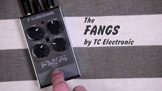 Video thumbnail for FANGS by TC Electronic by 60 Cycle Hum