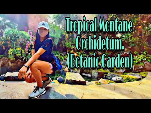 Explore Botanic Gardens |Tropical Montane Orchidetum|
