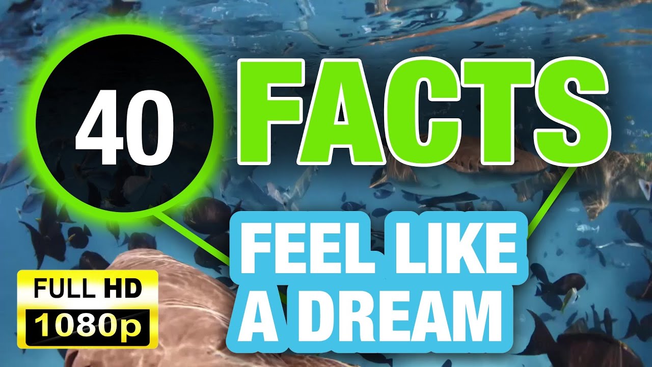 40 Mind Blowing Facts That Will Entertain and Educate!