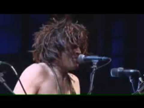 Nutbush City  Limits - Solide Alm live