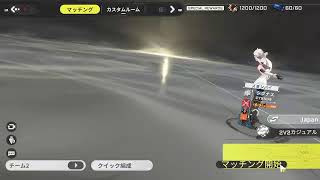 ゲームやる
