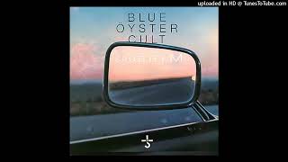 Blue Oyster Cult - I Am The Storm - Vinyl Rip