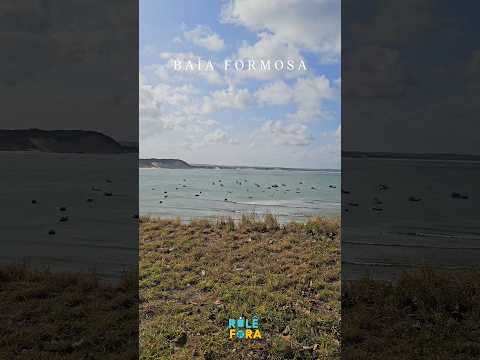 baía formosa rio grande do norte