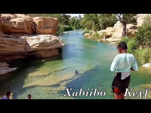 WAA HEESTII DABKA DHIGA SOKEEYOW IYO CODKII XABIIBO KEYF