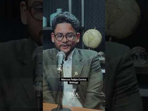 O segredo para se destacar e crescer na carreira está aqui! 🚀