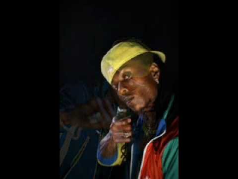 King ALi Baba Poor And Have Not Dub Reggae Nation-bySirapanther.wmv