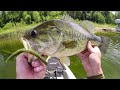 Bass Like It Wacky