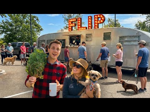 Can This Vintage Trailer Serve Coffee AND Save Dogs?