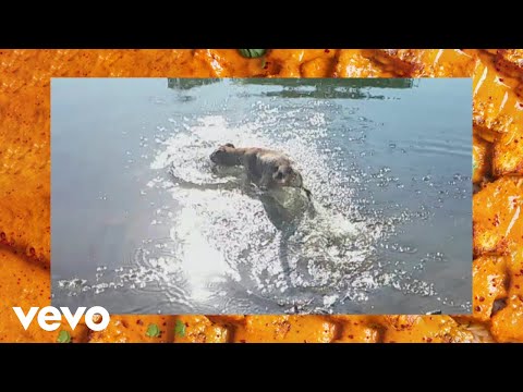 Flavien Berger - Pamplemousse (Clip officiel)