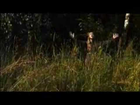 video image