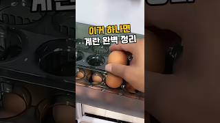 냉장고 계란정리 오토폴링 계란 트레이로! #쿠팡꿀템 #쿠팡추천템