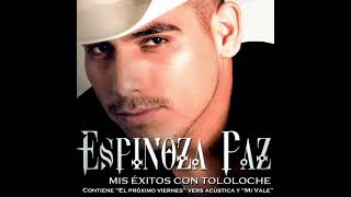 Espinoza Paz - El Paletero (Versión Tololoche)
