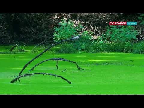 Město Adamov 07/25 #adamov07 #mcfilm #marekcerny