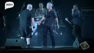 Pelo Azul -  Buitres 25 años