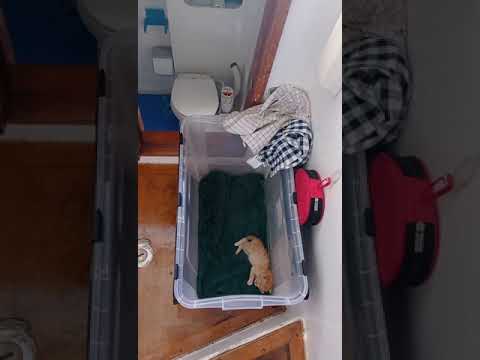 Description du Catamaran Solaris 42