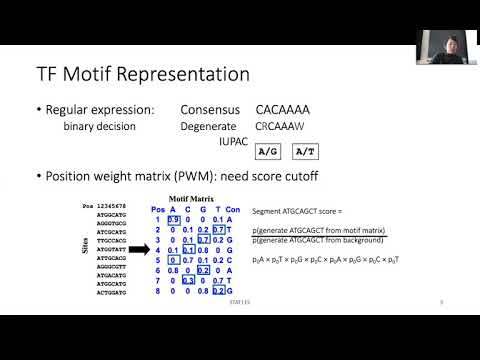 STAT115 Chapter 10.1 Transcription Regulation