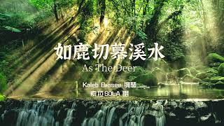如鹿切慕溪水 (現場版)