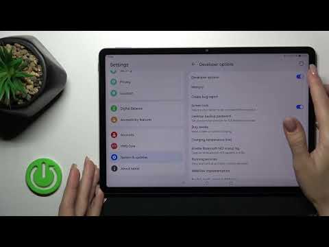 How to Hide Developer Options on Huawei MatePad 11.5