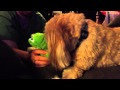 Lilly And Froggy