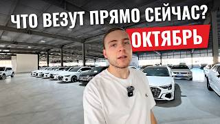 ТАК ДЕШЕВО больше не будет: ЦЕНЫ на авто из Китая до 1 января 2027