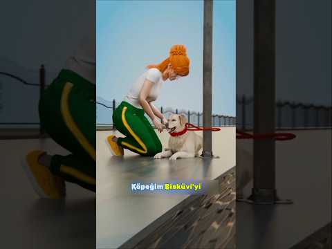 Köpeğimi 