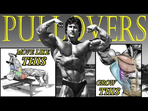 Pullovers will TRANSFORM your Physique