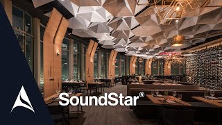 SoundStar® Acoustical Ceiling Cloud System