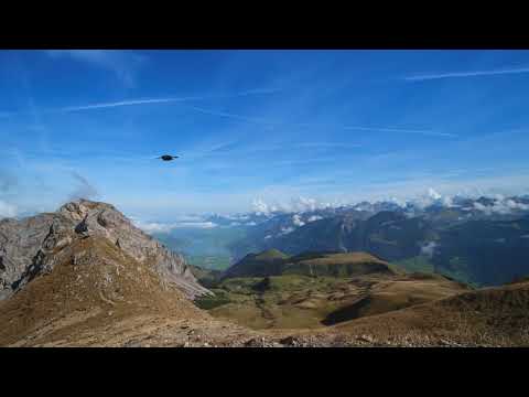 RAUL MENDOZA - PROVINCIA DE HUAR.