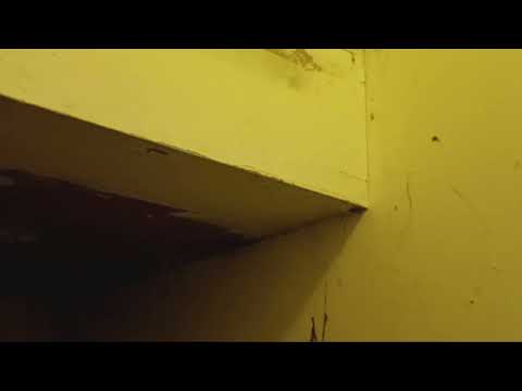 Basement Riddled with Spiders in Manville, NJ