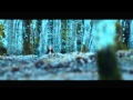 Gülşen kardan adam klip 2013 