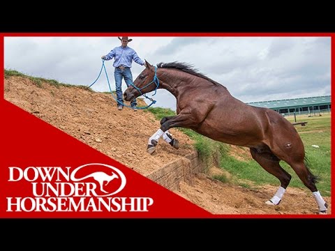 Clinton Anderson Presents: Overcoming Obstacles