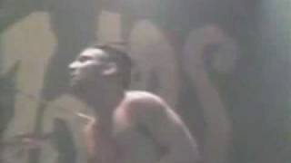 raimundos bicharada 1995