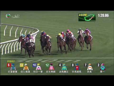 23/12/2020 (287) 追風驥足 (D009) 莫雷拉